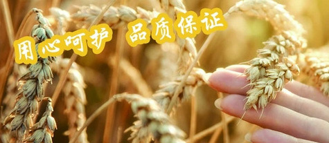 歐泉生化